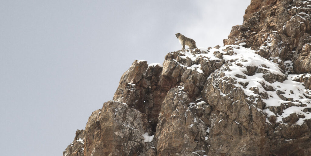 Aux confins du monde avec Vincent Munier et Sylvain Tesson