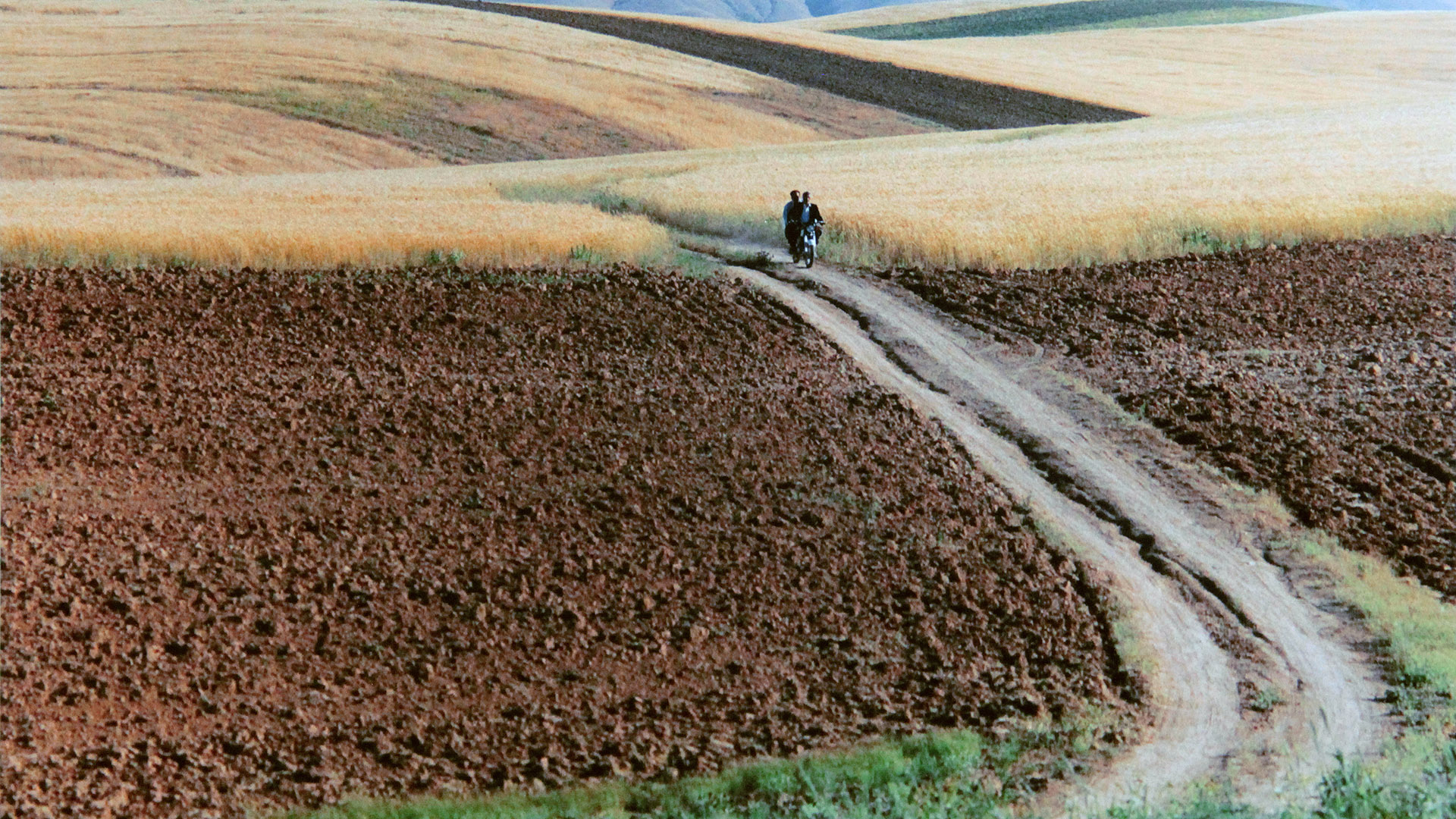 Abbas Kiarostami, ce photographe