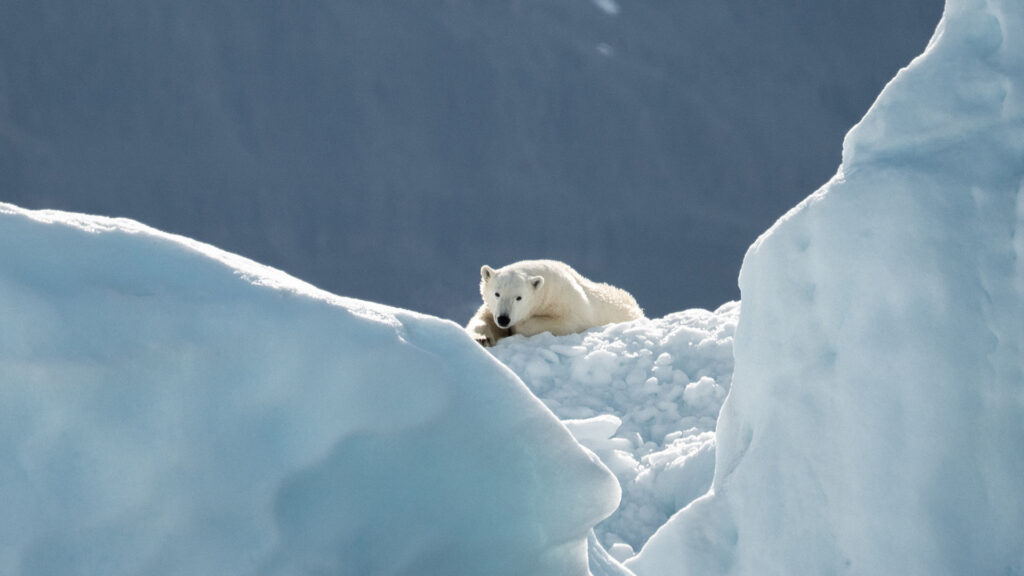 CHRONIQUE - Nous ne savons toujours pas photographier le changement climatique