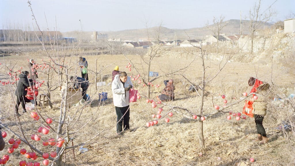 From the Sea to the Orchard: New Photography from Zhang Xiao