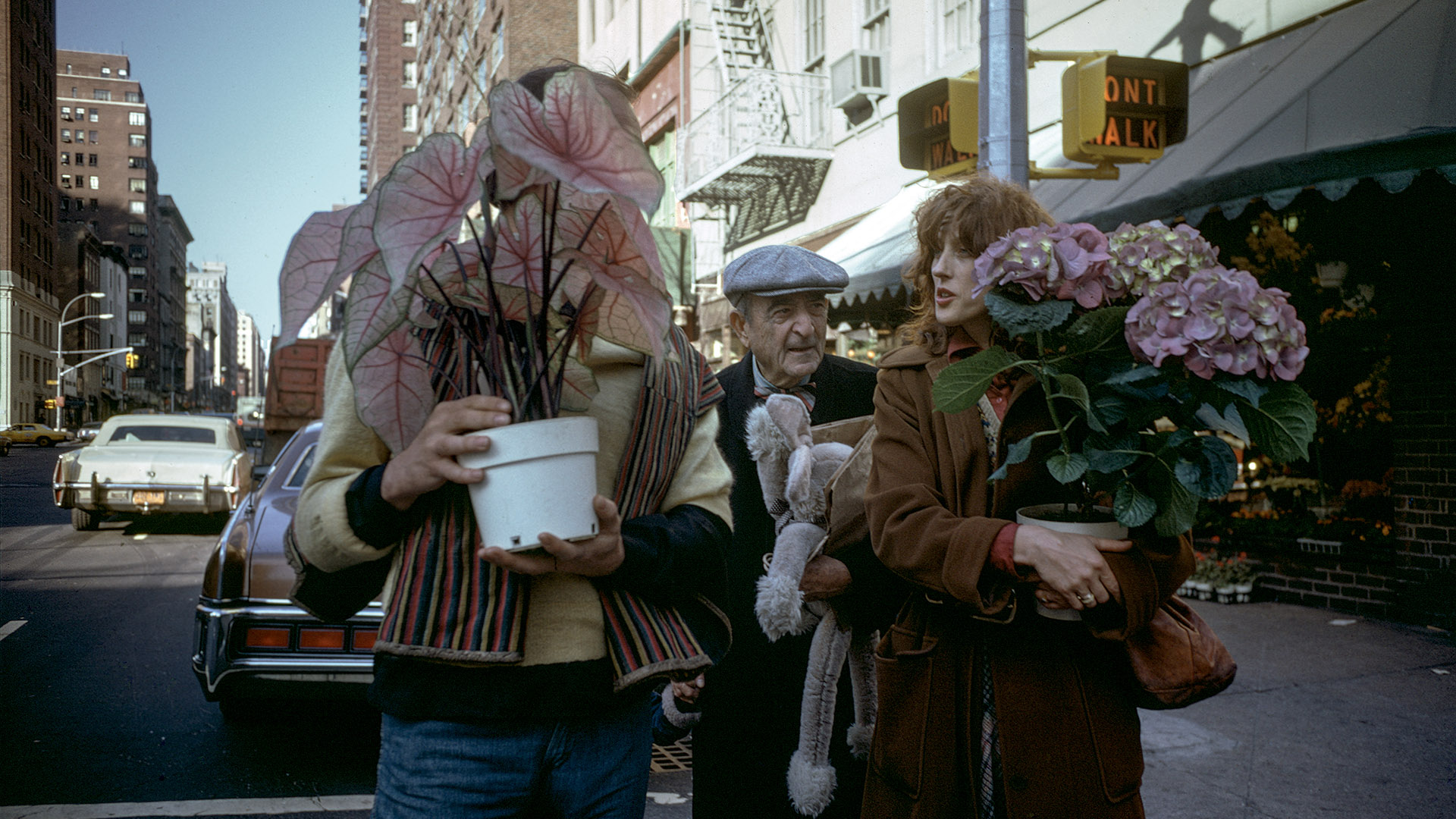 Joel Meyerowitz: « Je me suis attaqué à la fleur, un cliché de la photographie »