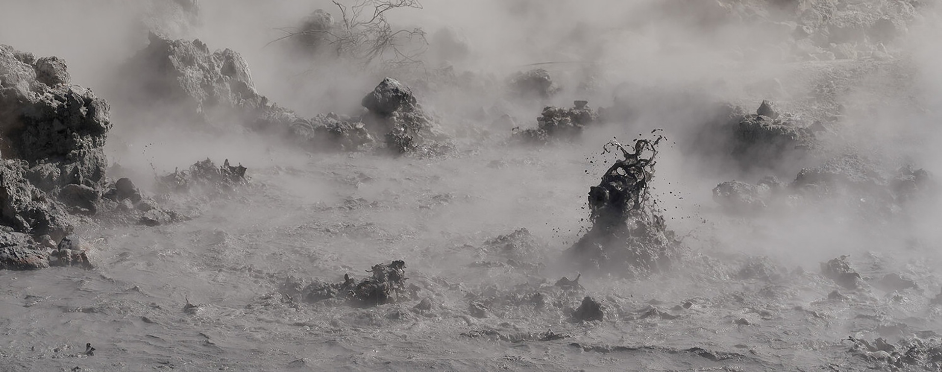 Julien Mauve, miracle et menace du magma