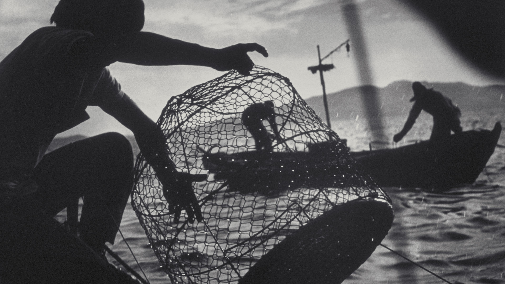 Le mystère de Minamata, ultime série de W. Eugene Smith