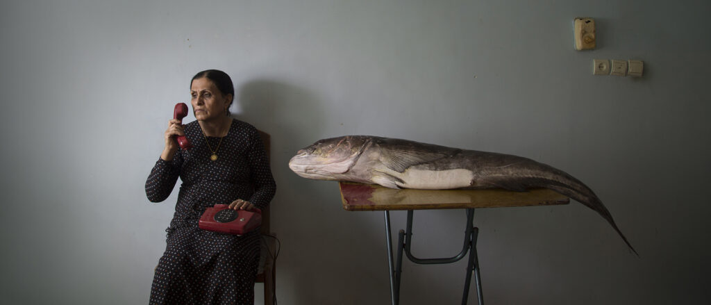 Morteza Niknahad, soigner sa mère par la photographie
