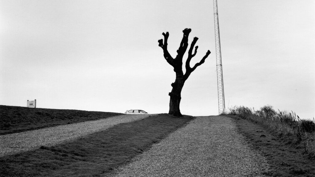 Paul Hart, paysage dénaturé