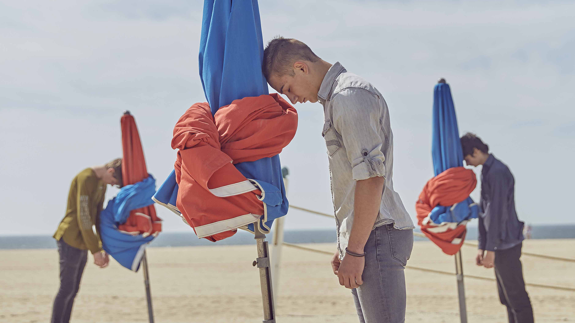 Planche(s) contact 2019 : jeunesse, zèbre et coquillage