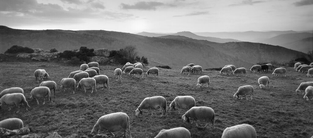 Raymond Depardon, portraits de campagne