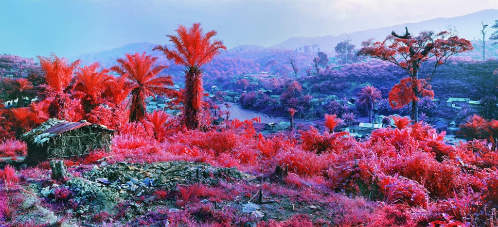 Richard Mosse: Image Explorer