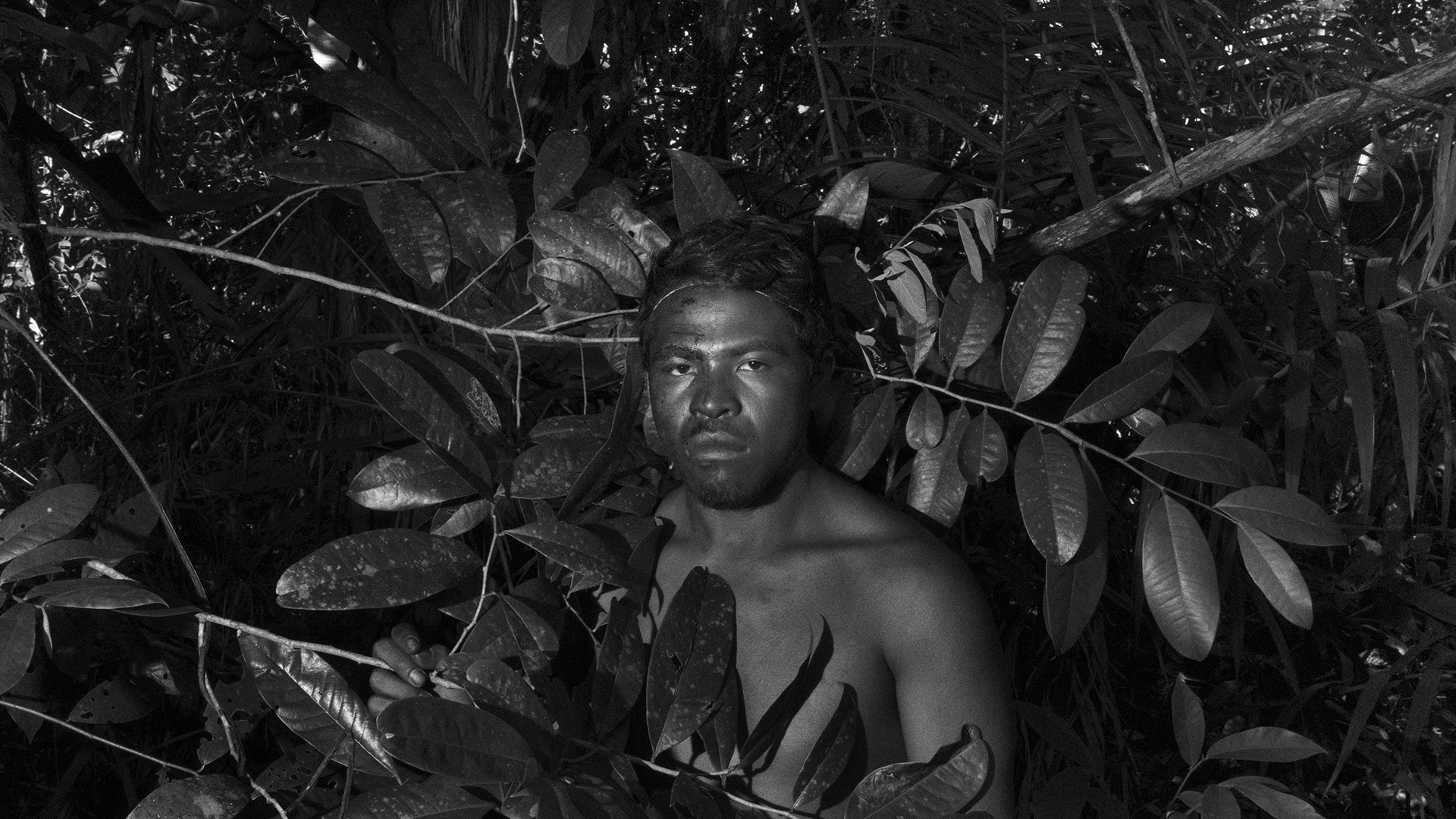 Tommaso Protti, sombre Amazonie
