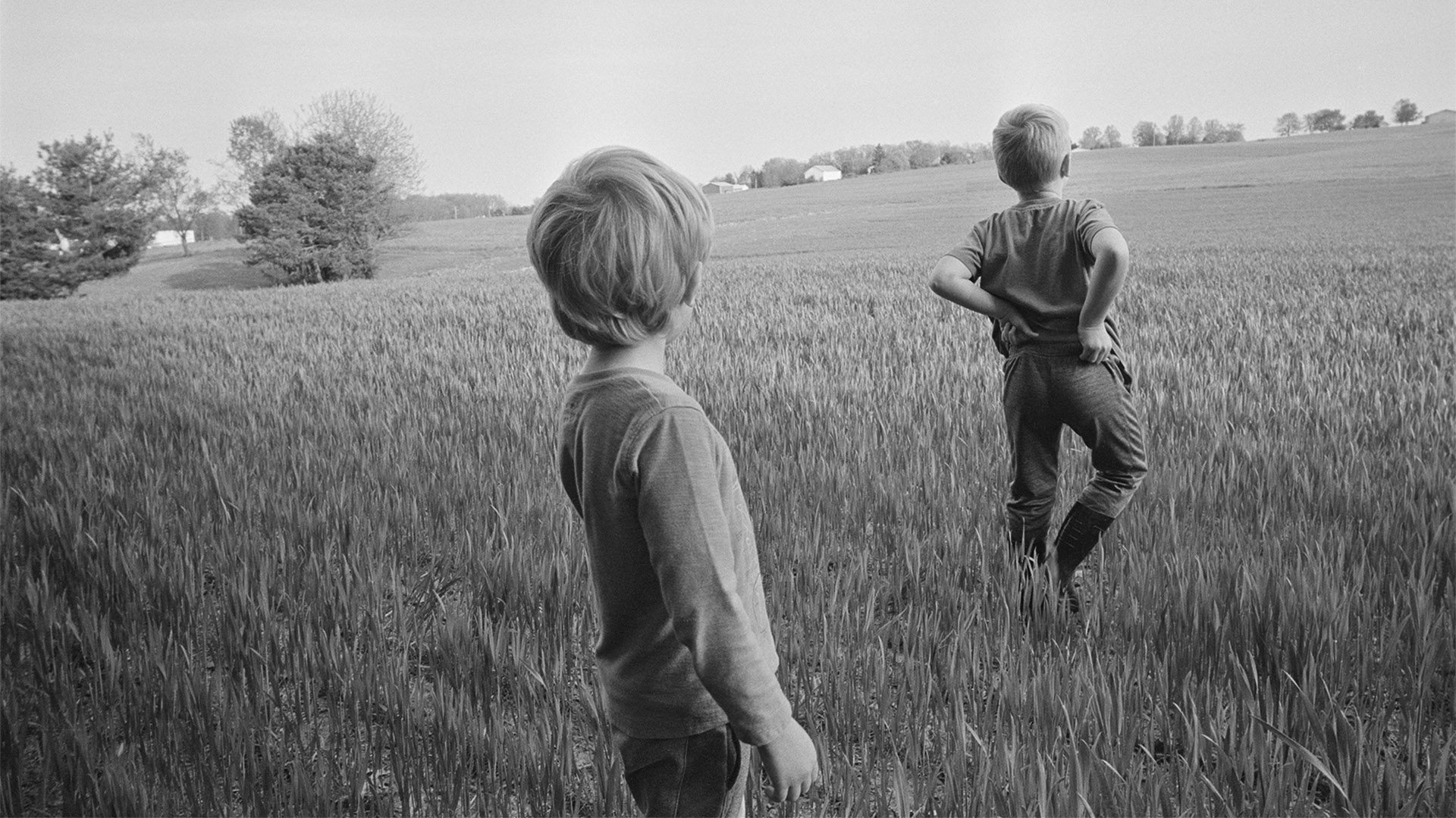 Un portrait sensible de l’enfance dans la campagne américaine