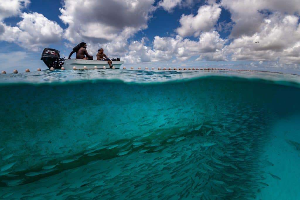 Big eye mackerel sustainable traditional fishing in Bonaire