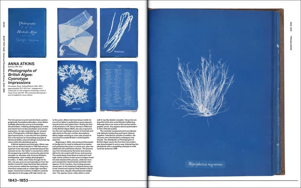 Anna Atkins © New York Public Library Digital Collections