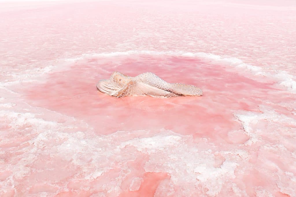 Honey Long and Prue Stent