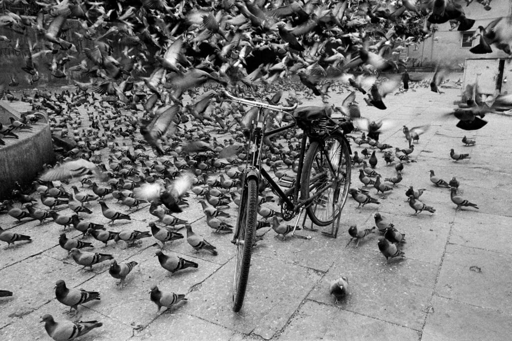 Jaipur, Rajastan, India, 1999 © Graciela Iturbide