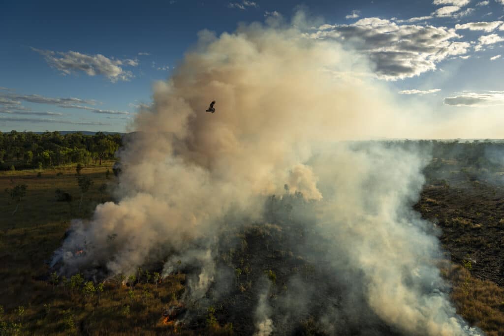 Depuis des dizaines de milliers d'années, les Aborigènes - la plus ancienne culture continue sur terre - brûlent le pays de manière stratégique afin de gérer le paysage et d'éviter les incendies hors de contrôle. À la fin de la saison humide, il y a une période pendant laquelle ce brûlage dirigé a lieu. J'ai visité la Terre d'Arnhem occidentale en avril/mai 2021 et j'ai assisté à des brûlages dirigés aériens et terrestres. © Matthew Abbott / Panos Pictures pour National Geographic