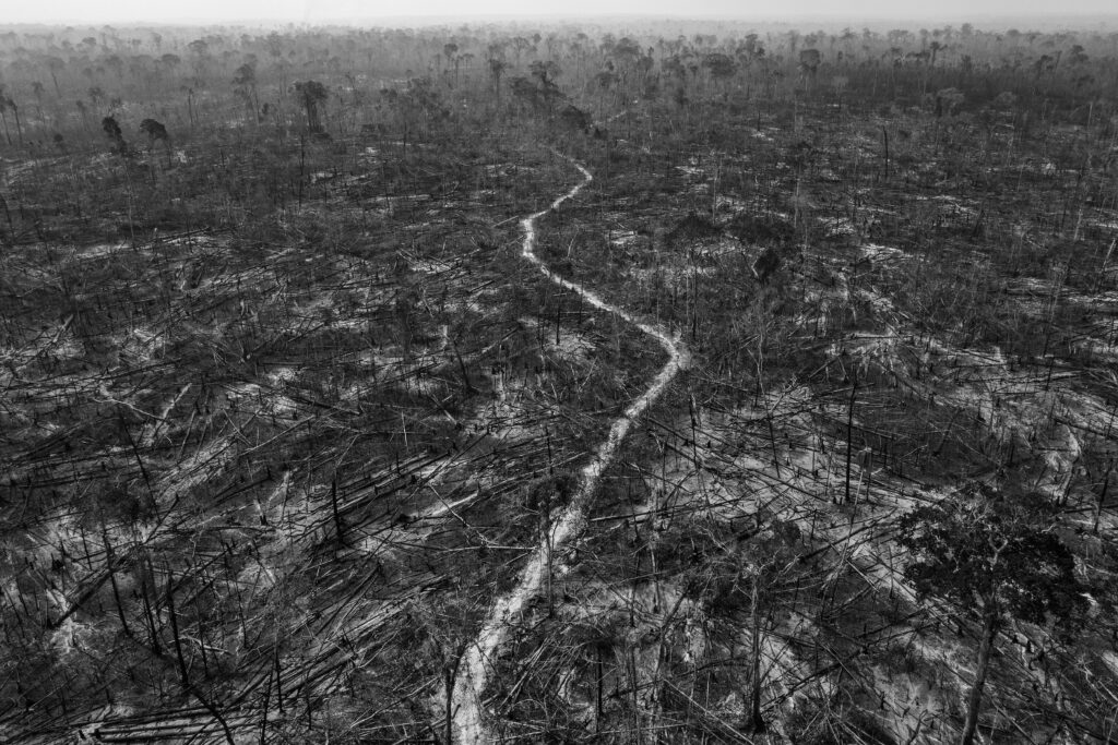 Une déforestation massive est évidente à Apuí, une municipalité située le long de la route transamazonienne, dans le sud de l'Amazonie, au Brésil, le 24 août 2020. Apuí est l'une des municipalités les plus déboisées de la région. © Lalo de Almeida / Panos Pictures pour Folha de São Paulo