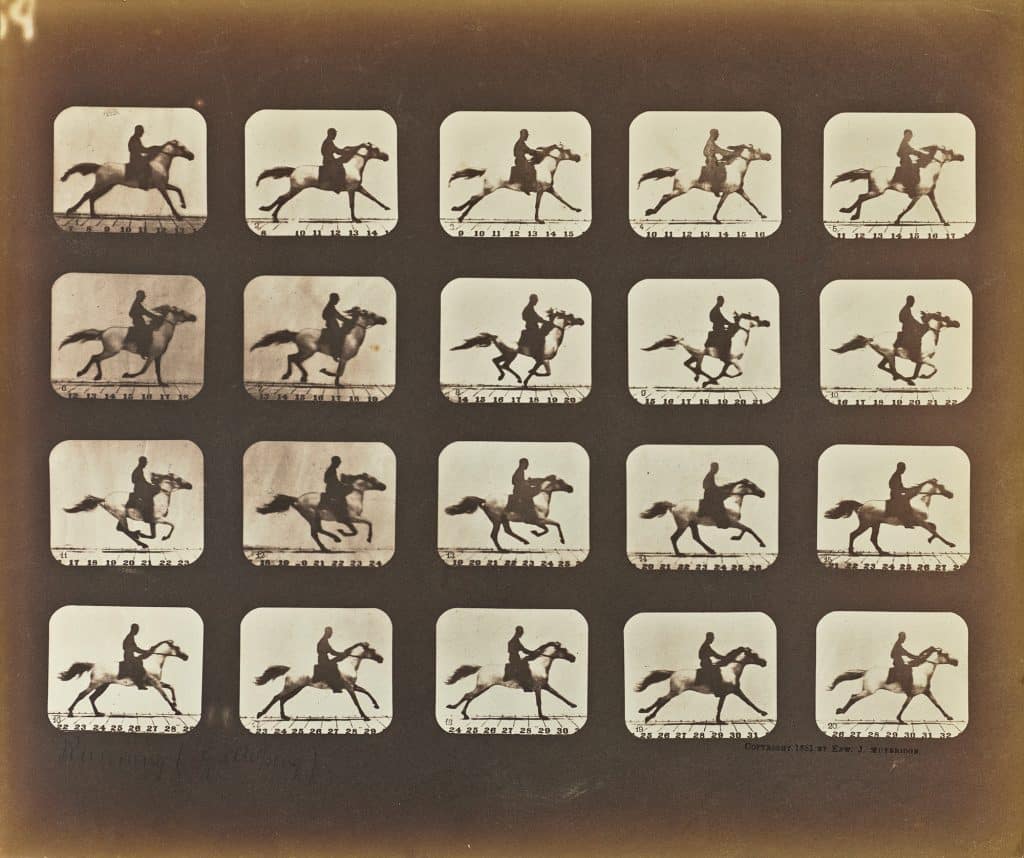 Eadweard Muybridge