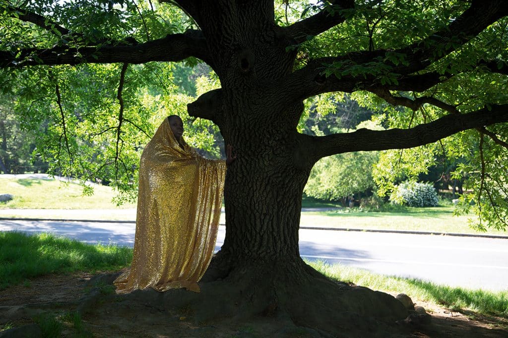 Nona Faustine