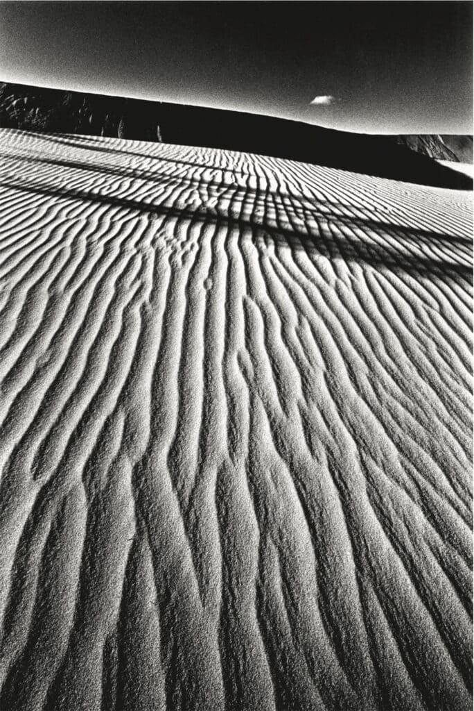 Jeanloup Sieff