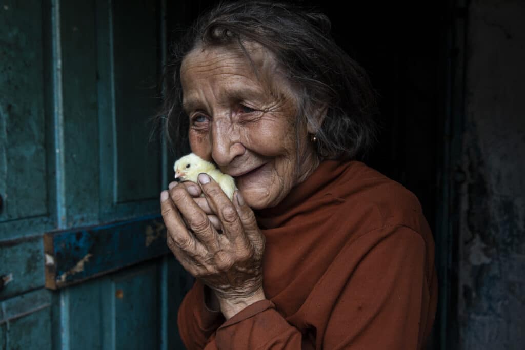 Opytne, Ukraine orientale : Mariya Gorpynych, 76 ans, vit seule. Elle tient dans ses bras de nouveaux poussins livrés par le CICR dans le cadre d'un service d'aide humanitaire destiné aux personnes âgées qui vivent seules. Cela leur permet d'élever des poulets pour avoir un certain revenu. Elle a les larmes aux yeux lorsqu'elle parle de la mort de son fils. Victor, 48 ans a été tué à cause de la guerre en 2016, il a été mortellement blessé par les bombardements qui ont touché la maison. Il est mort dans ses mains © Paula Bronstein