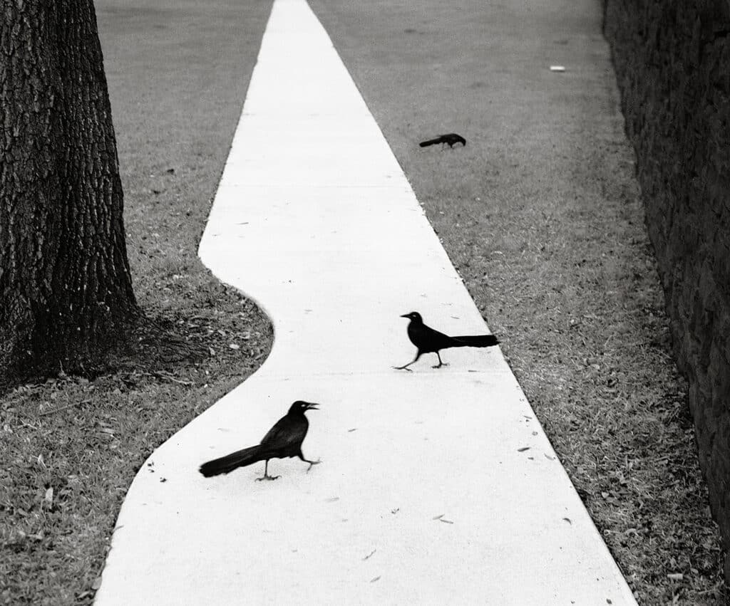 © Pentti Sammallahti