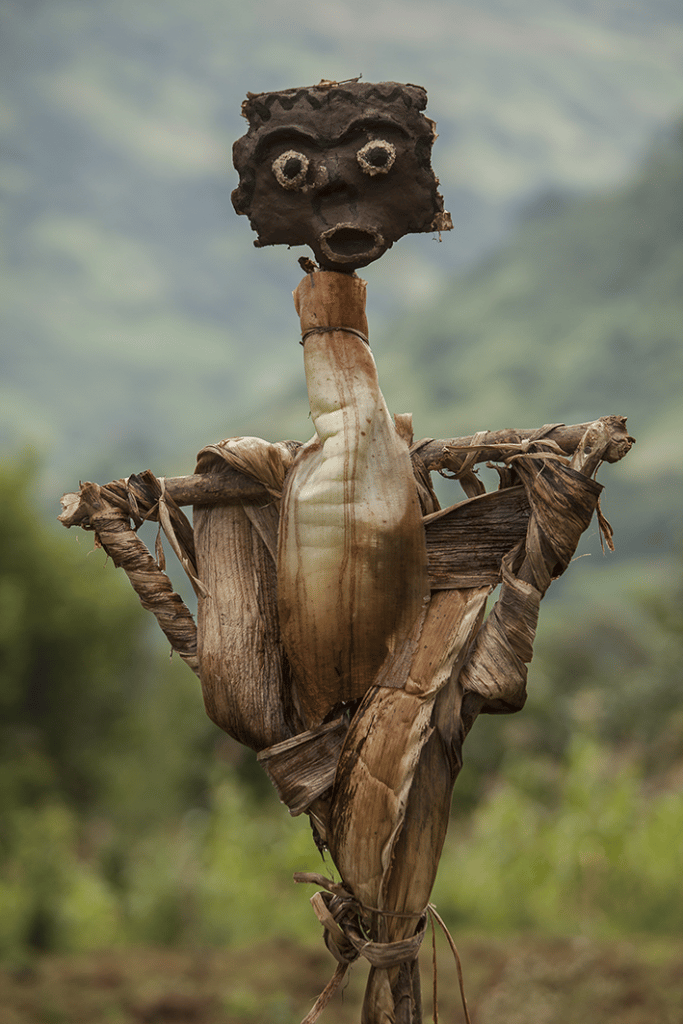 Les épouvantails © Hans Silvester