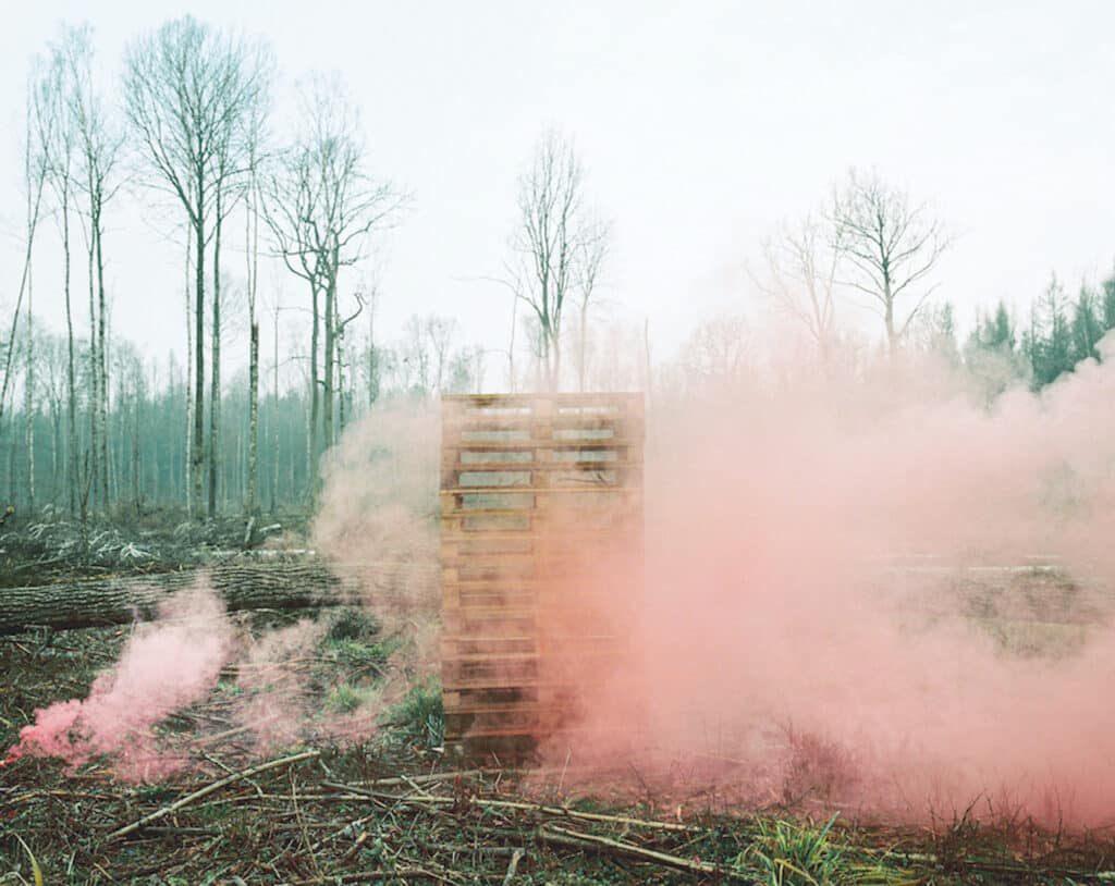 Pallets placed in the southern area, the deforested part of the Bialowieza Forest. Installation made by the photographer. Through this performance, she wants to raise public awareness about the fact that the wood from Bialowieza ends up being sold as pallets on the European market. Bialowieza, Poland, September, 2017 © Andrea Olga Mantovani