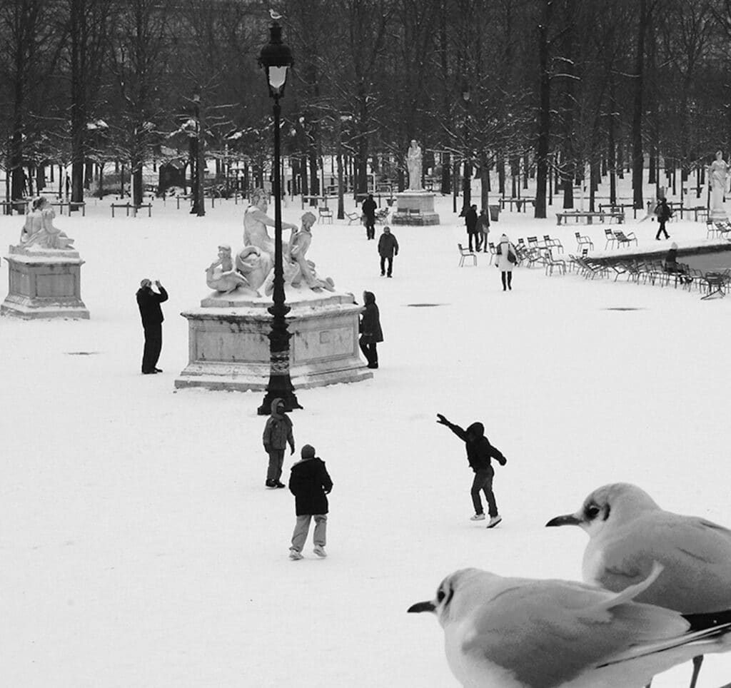 Les mouettes