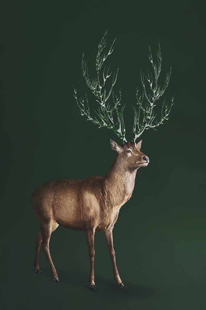 Celestial Deer (Cervus Coelestia). Guide of the island Auctus animalis. Its antlers made of luminescent crystal allow the different species to orient themselves on the island. The celestial deer also gives the starting signal to the species for their metamorphosis into stars. Vincent Fournier for the Swiss Life 4 Hands Prize 2022-2023