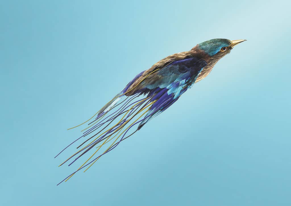 Radio bird (Argus Cymbalum). Captures the sound waves emitted by the constellation Auctus animalis. The metal parabolas that adorn its plumage serve as both receivers and transmitters of sound waves from the constellation Auctus animalis. © Vincent Fournier for the Swiss Life 4-Handed Prize 2022-2023