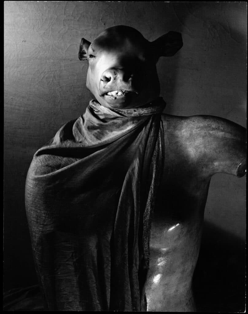 The Minotaur or The Dictator, Paris, 1937. © The Estate of Erwin Blumenfeld 2022