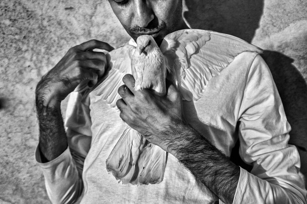 Free from freedom. A young boy holds a pigeon that has been brought to market for sale in Tabriz, Iran, on August 10, 2015. © Farshid Tighehsaz