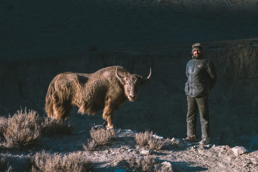 The Wakhi and The Beast, Chapursan Valley. © Gauthier Digoutte