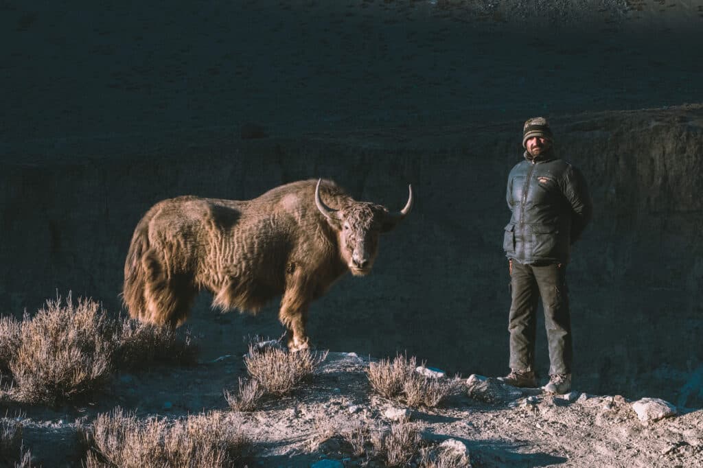 Le Wakhi et la Bête, vallée de Chapursan. © Gauthier Digoutte