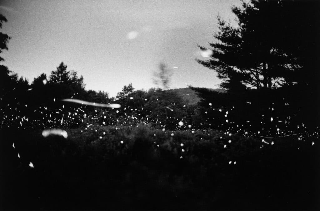 Gregory Crewdson. Untitled [14-35], Fireflies series, silver gelatin print, 1996. Courtesy of the artist.