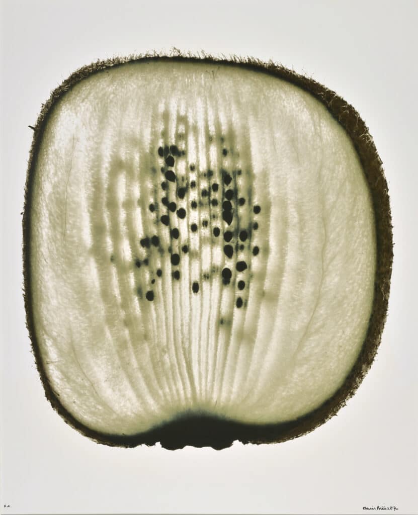 Sliced kiwi fruit © Denis Brihat