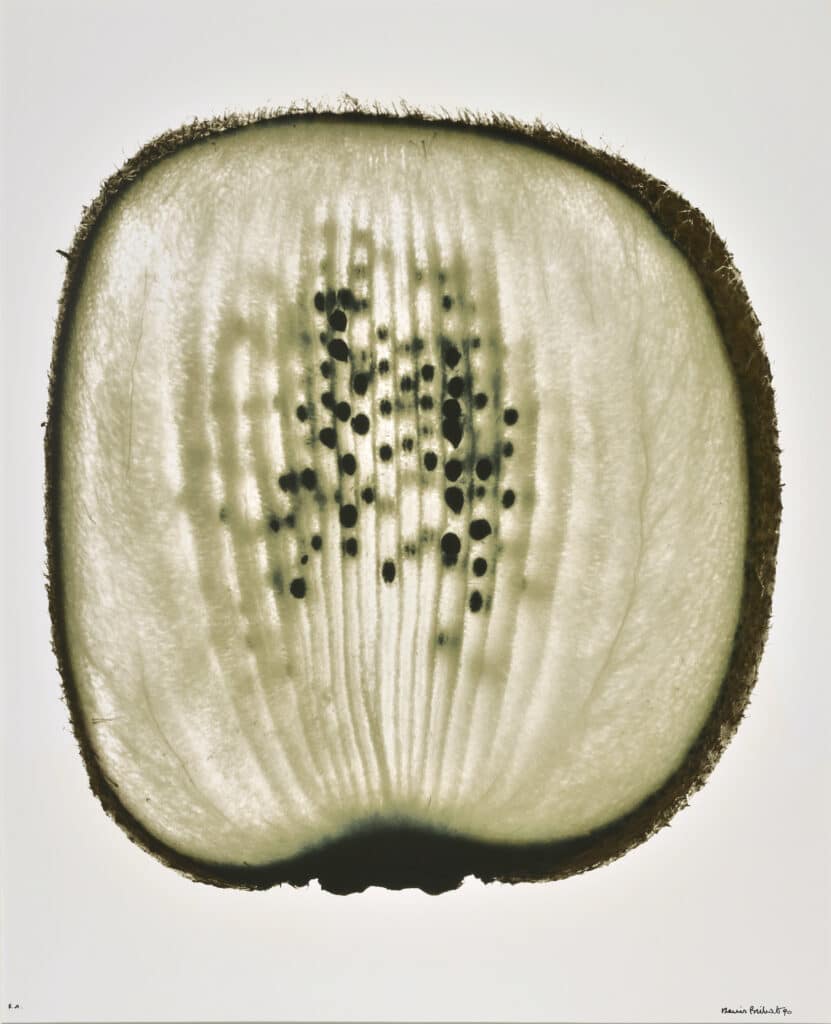 Tranche de kiwi © Denis Brihat