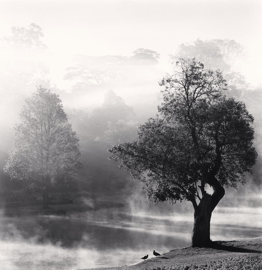 Morning Mists, Pyin U Lwin, Myanmar. 2019 © Michael Kenna