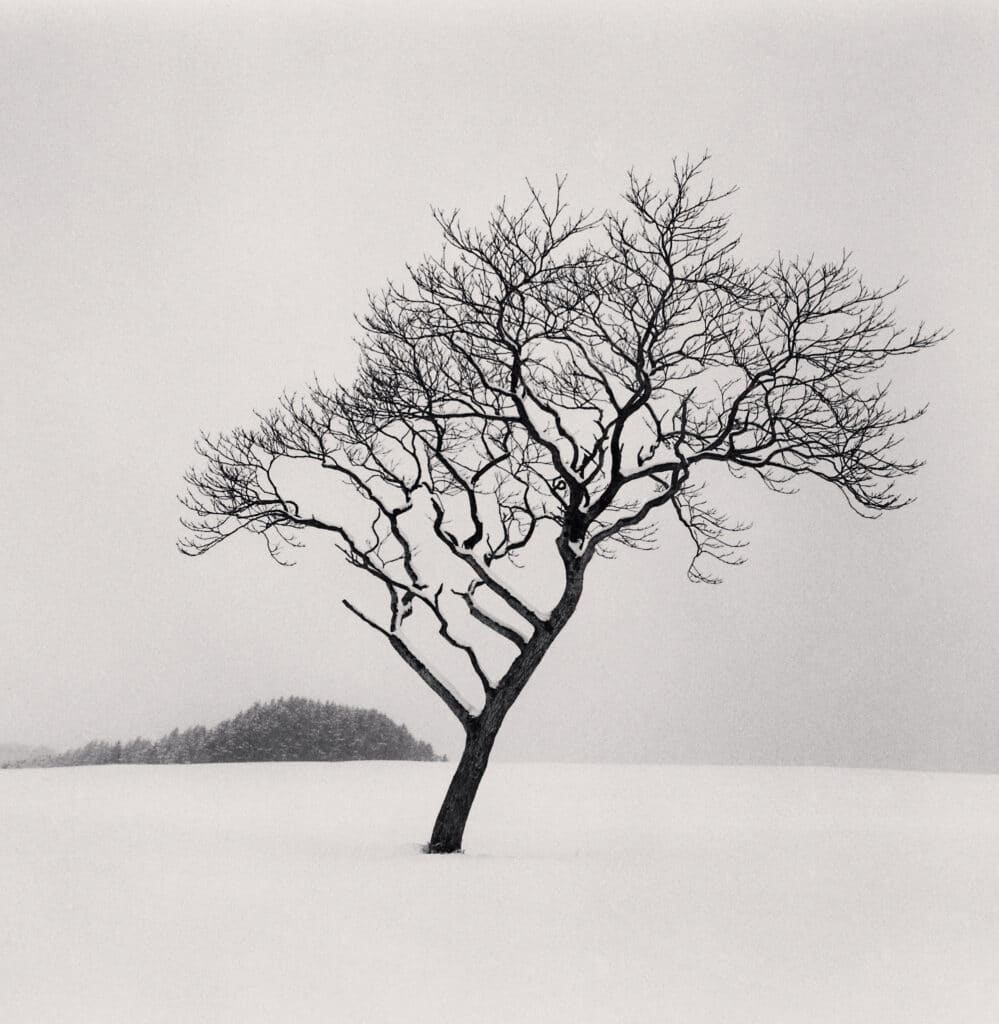 Blackstone Hill Tree, Hokkaido, Japan. 2020 © Michael Kenna