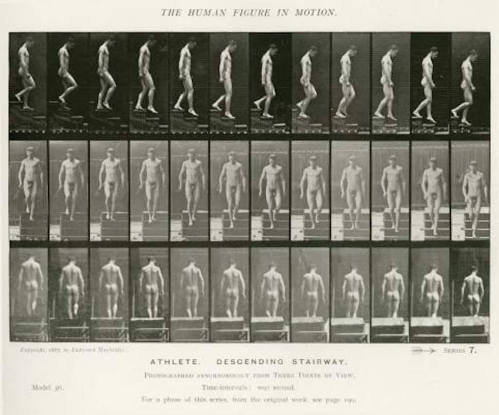 The human figure in motion, 1887. In 1878, the British photographer Eadweard Muybridge (1830-1904), inspired by the work of Etienne-Jules Marey (chronophotography), invented a photographic device for the decomposition of movements, composed of a dozen cameras with successive triggers. © Eadweard Muybridge
