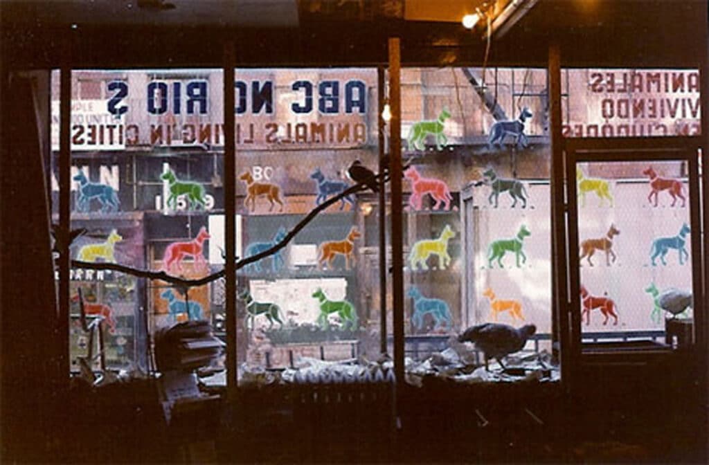 Pochoirs pour chiens sur la vitrine de l'ABC No Rio d'Anton Van Dalen, 1980. Photo d'Anton Van Dalen