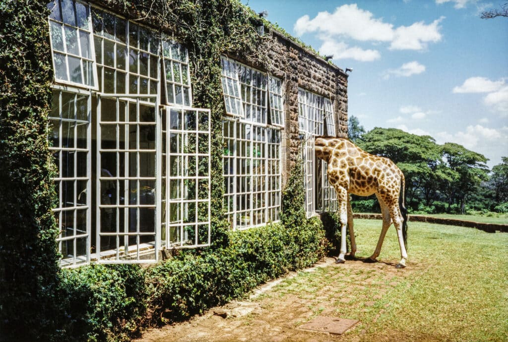 Rubbernecking, Giraffe Manor, Kenya, Vogue, 2007 © Arthur Elgort