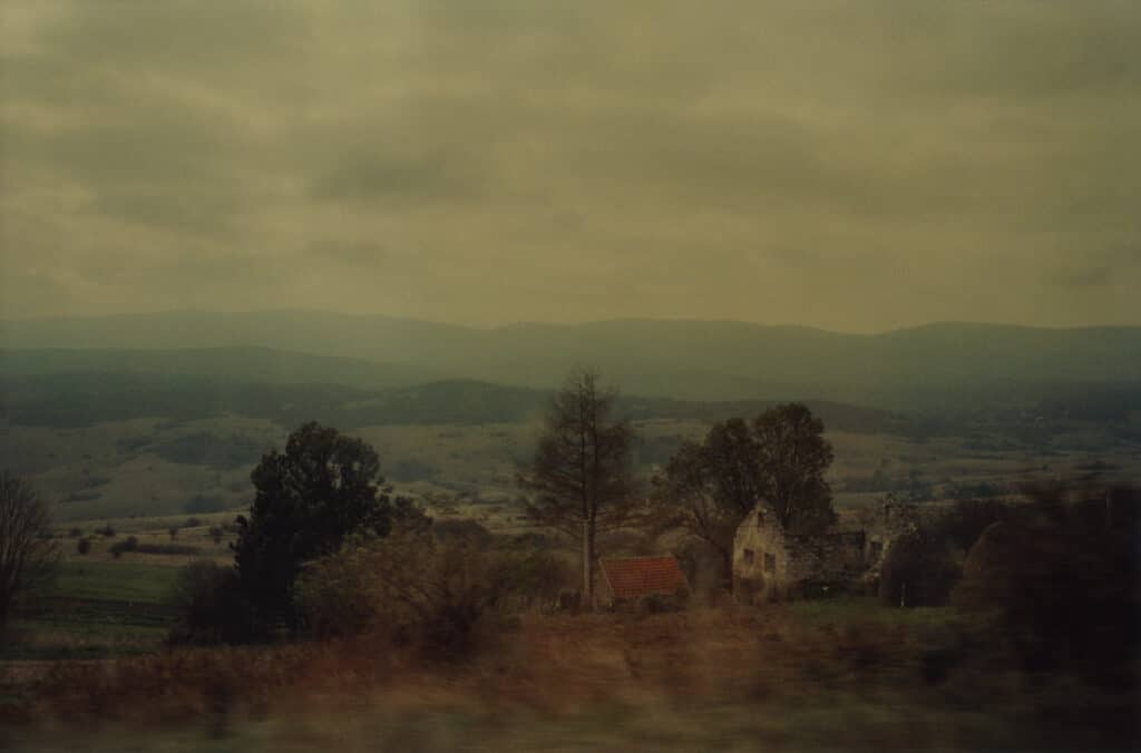 The Lamb and Falcon N°1 (Bosnia), 2003 © Matt Wilson