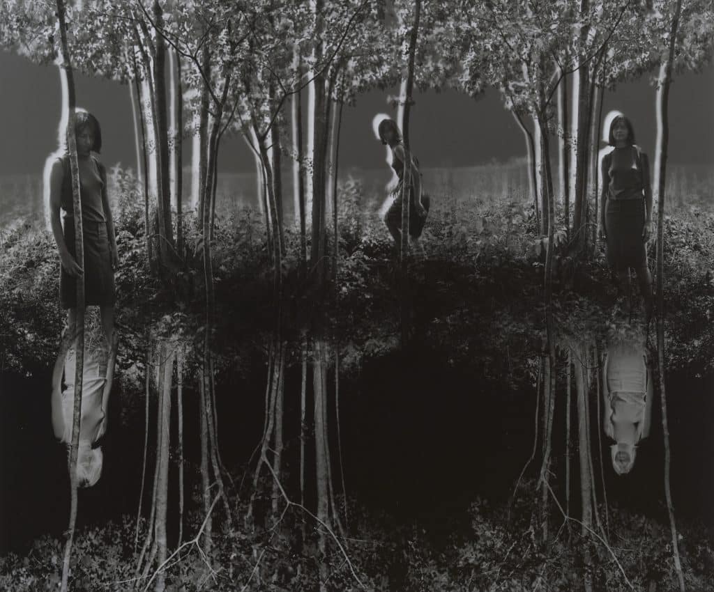 Small Woods Where I Met Myself, 1967 © Jerry N. Uelsmann, from Judy Ellis Glickman's collection