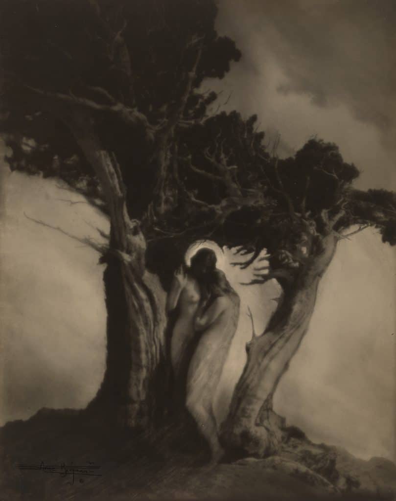 Le cœur de la tempête, 1912 © Anne Brigman