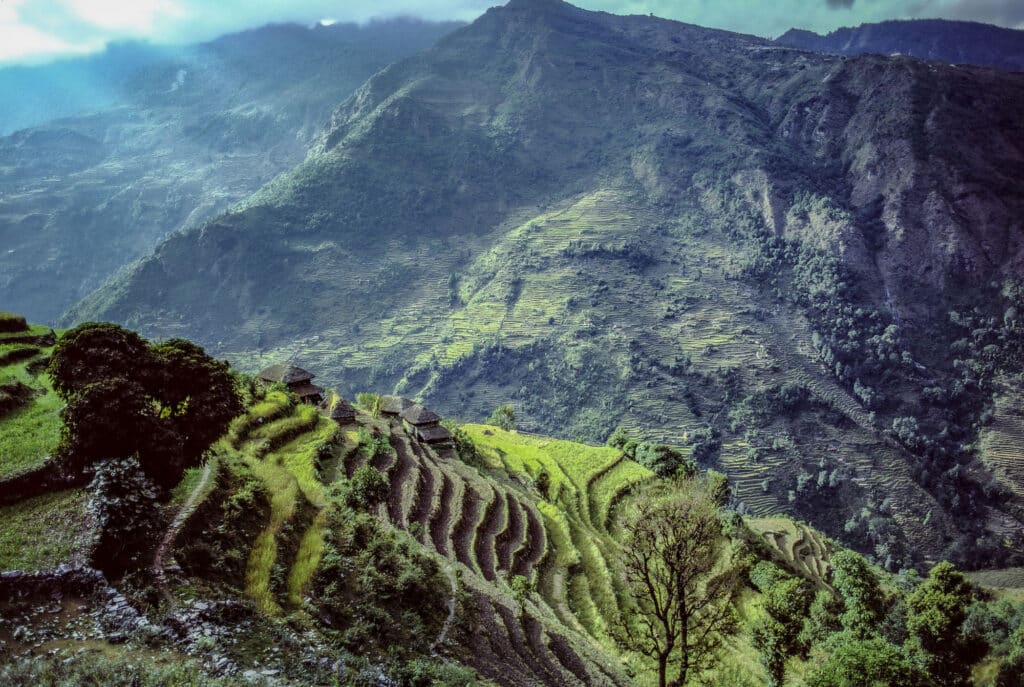 Rice Terraces en route to Dhaulagiri Base Camp, 1986 © William Frej