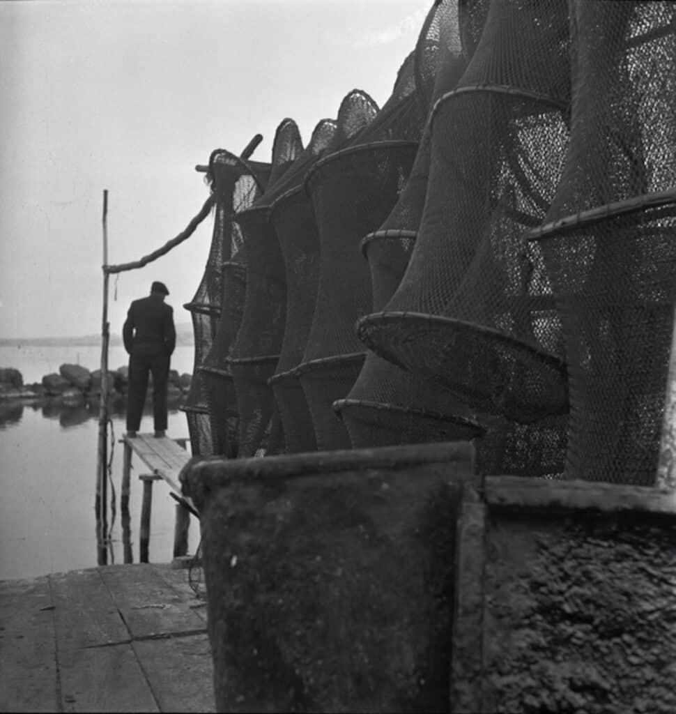 Agnès VARDA. Jouteurs à Sète, tirage argentique d’époque, vers 1952. Avec l’aimable autorisation de la Succession Agnès Varda / Collection Rosalie Varda.