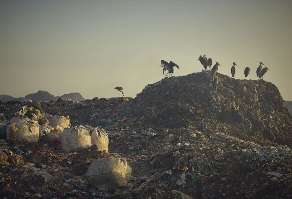 The waste pickers of Dandora © Sam Barker