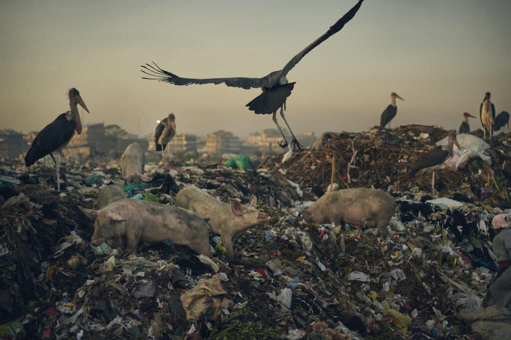 The waste pickers of Dandora © Sam Barker