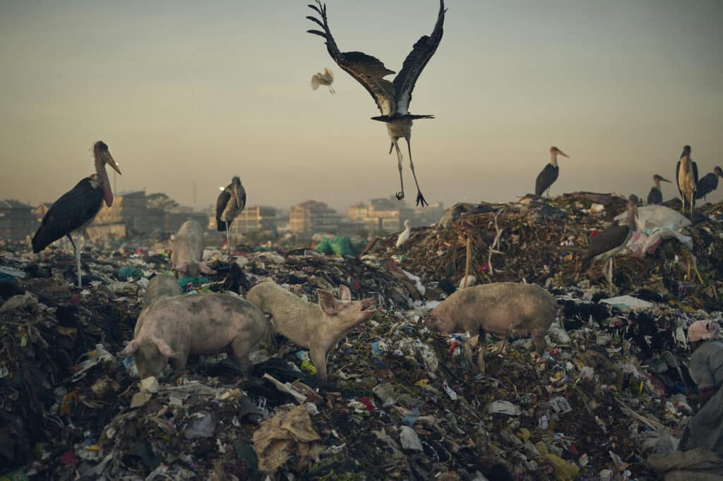 The waste pickers of Dandora © Sam Barker